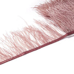 Ostrich feather ribbon