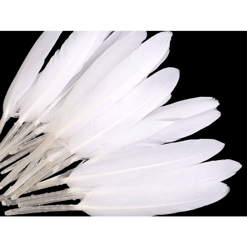 Duck feather