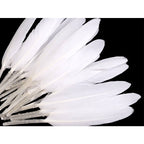 Duck feather