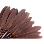 Duck feather