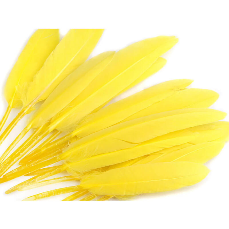 Duck feather