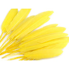 Duck feather