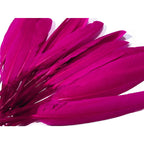Duck feather