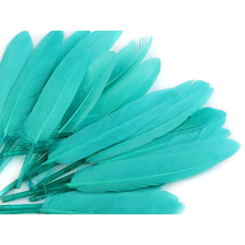 Duck feather