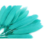 Duck feather
