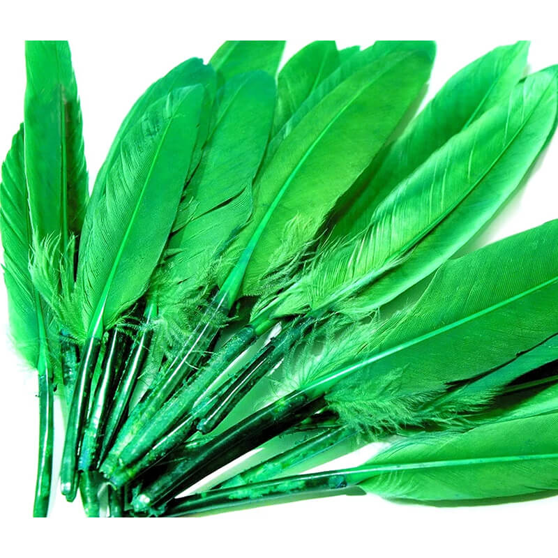 Duck feather
