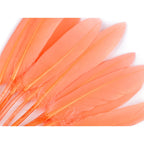 Duck feather