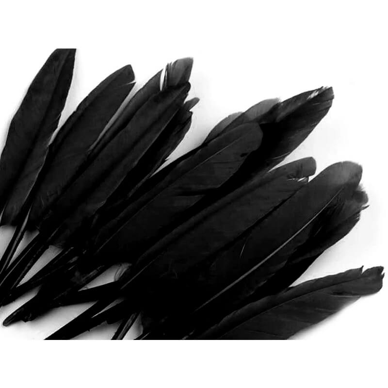 Duck feather