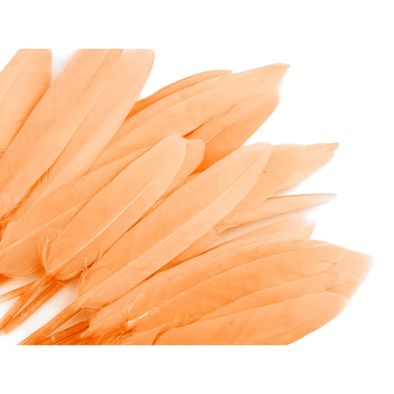 Duck feather