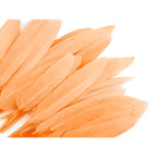 Duck feather