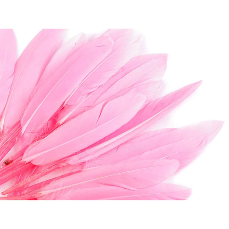 Duck feather
