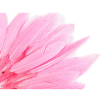 Duck feather