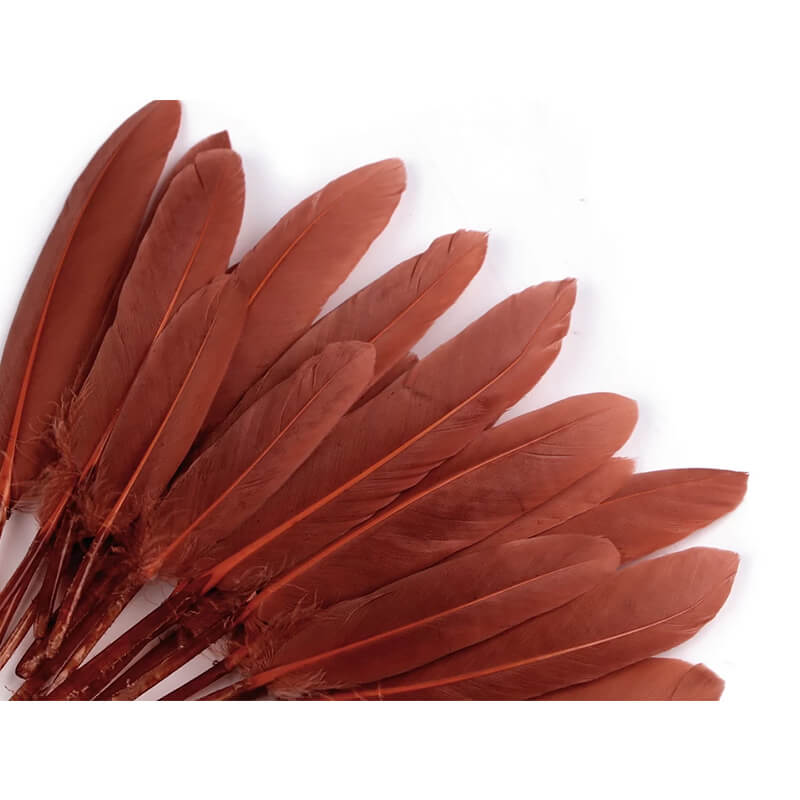 Duck feather