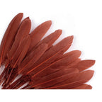 Duck feather