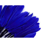 Duck feather