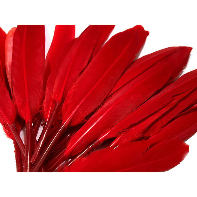 Duck feather