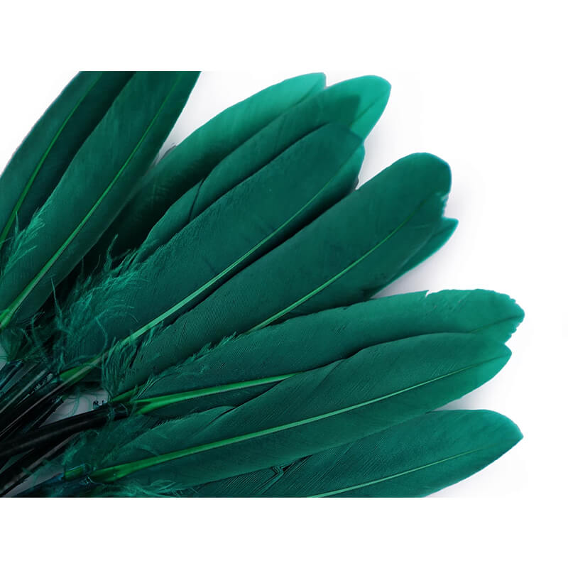 Duck feather