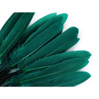 Duck feather