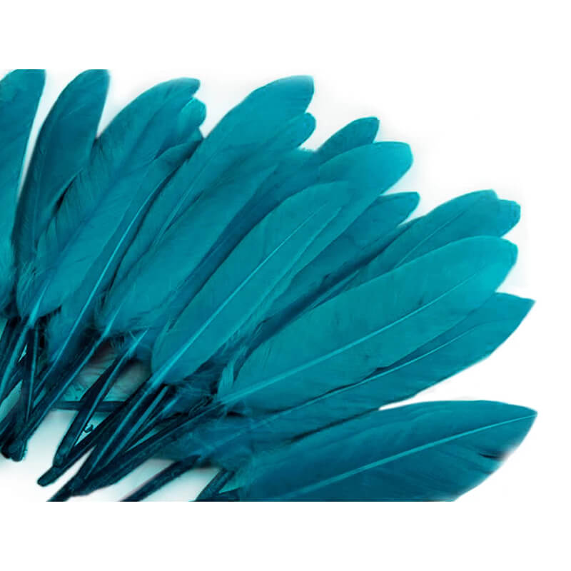 Duck feather