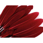 Duck feather