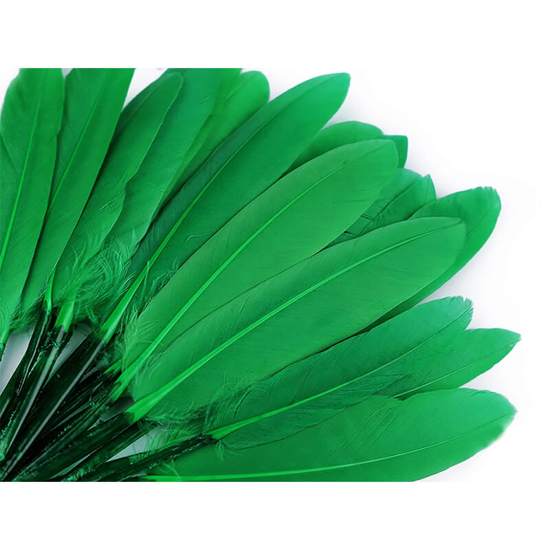 Duck feather