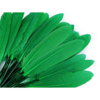 Duck feather