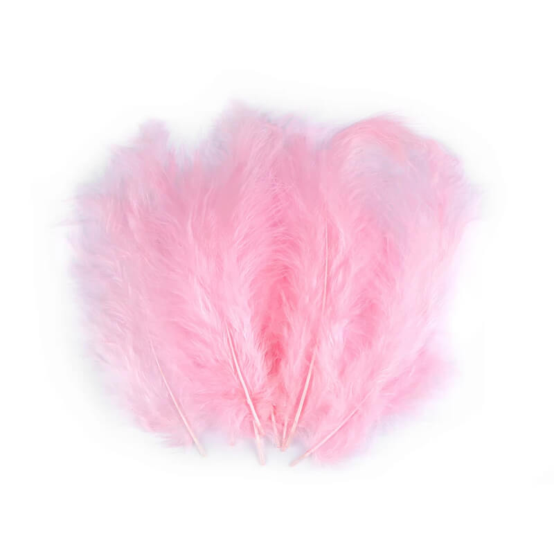 Strausa spalvas - iepakojums