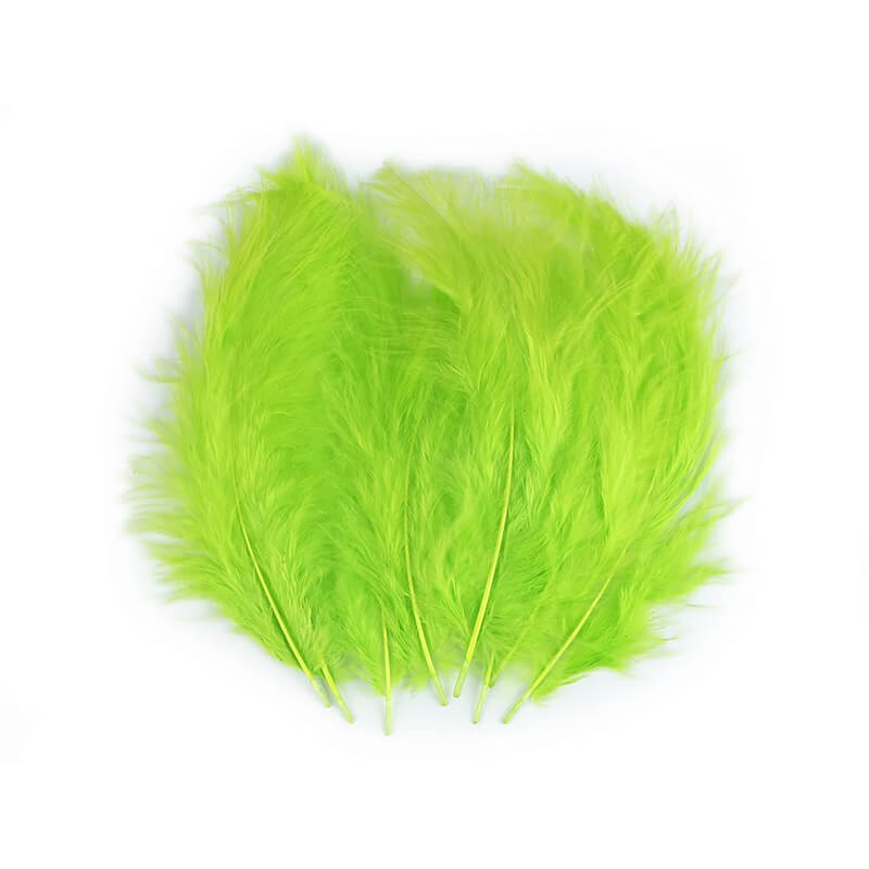 Strausa spalvas - iepakojums