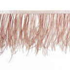 Ostrich feather ribbon