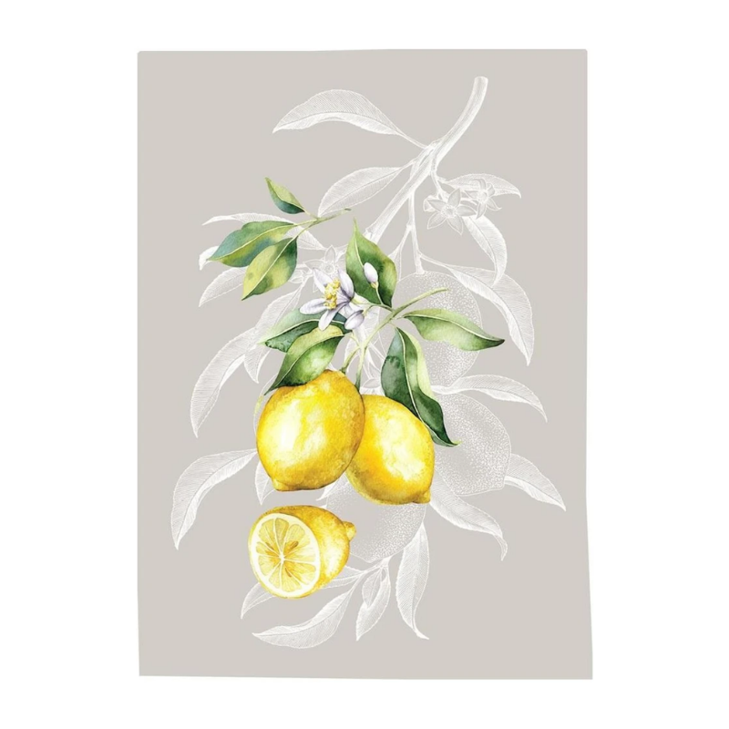 Virtuves dvielis 50x70cm – citroni - gaiši pelēks